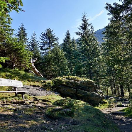 Ferienwohnung Innerhofer ホラースバッハ・イム・ピンツガウ エクステリア 写真
